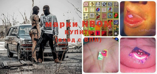 стафф Баксан