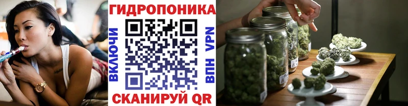 Бошки Шишки Amnesia Семилуки