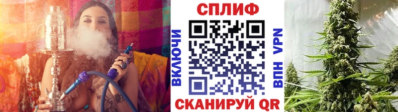 Бошки Шишки план  Купить  Семилуки 